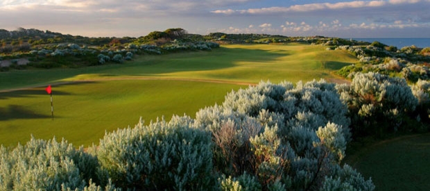 The Cut Golf Club The Cut Golf Club