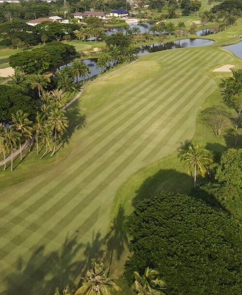 Aerial view of tropical Palm Hills Golf Resort and Country Club with water hazards