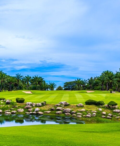 Lush tropical Palm Hills Golf Resort and Country Club with water hazard and palm trees