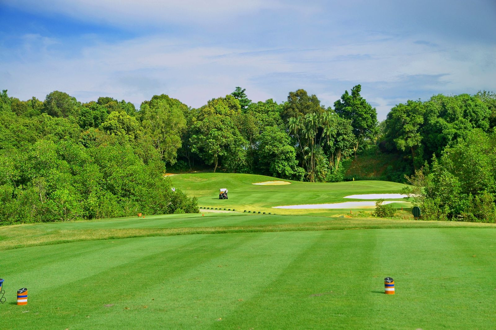 Lush green Palm Springs Golf & Country Club fairway with sand bunkers and trees