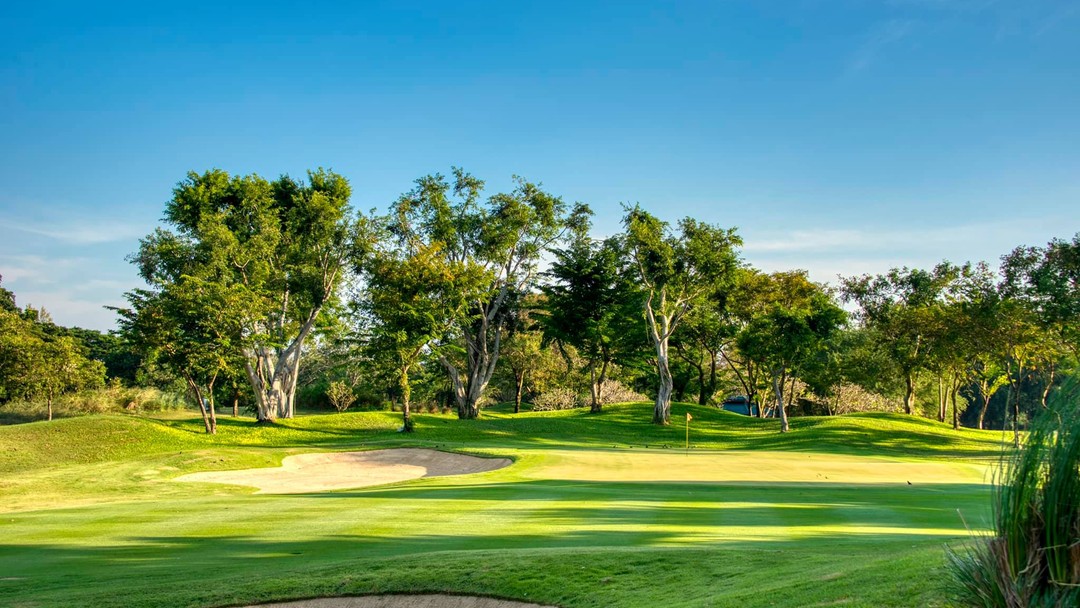 Lush Springfield Royal Country Club green with sand bunker and trees
